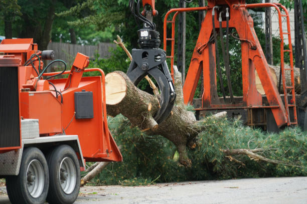 Best Lawn Mowing  in Providence, RI